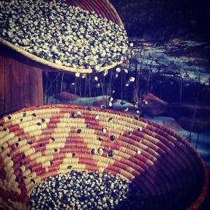 Meet your Posher, Cori